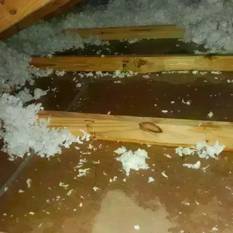 Attic Water Damage in Uvalde County, TX